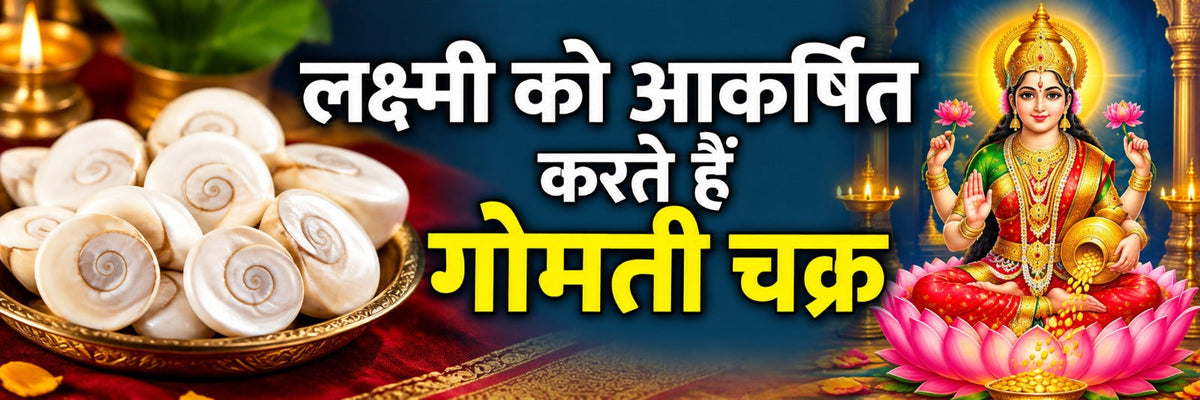 •  गोमती चक्र के चमत्कारी उपाय: घर में खिंची चली आएगी लक्ष्मी | Gomati Chakra Benefits