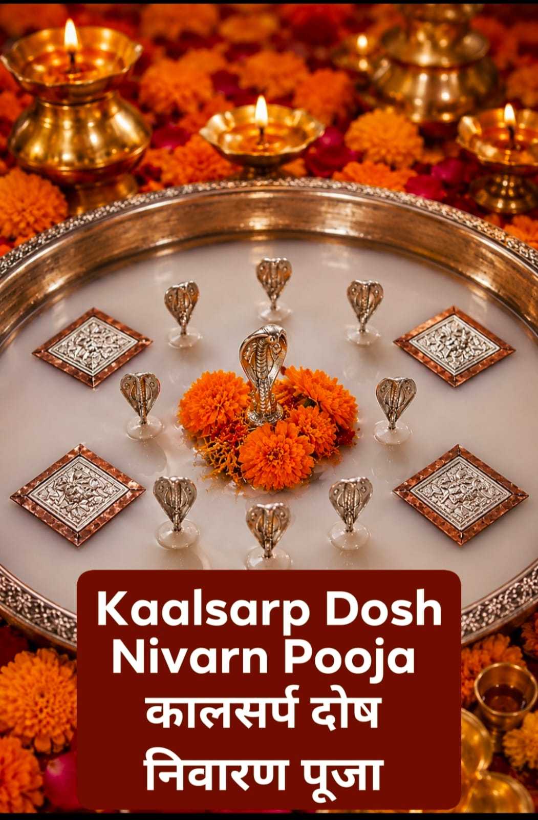 Kaalsarp Dosh Puja (For peace of Rahu and Ketu)